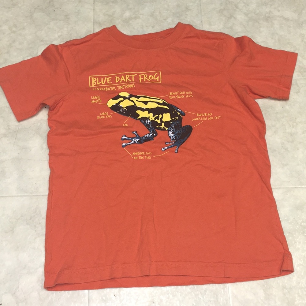 Lands’ End boys frog shirt, 8